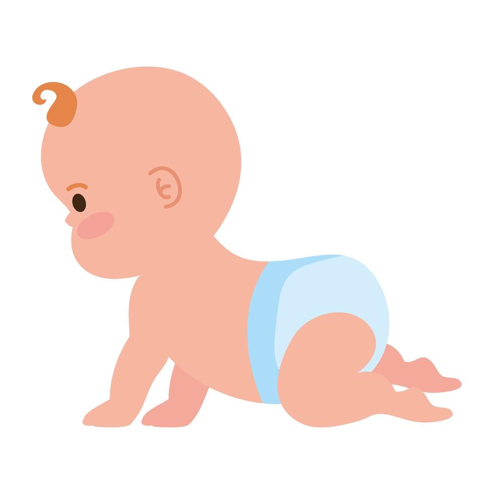 baby boy crawling vector