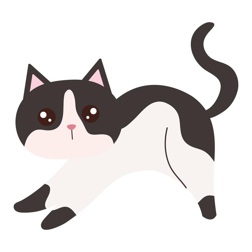 cat white with gray vector