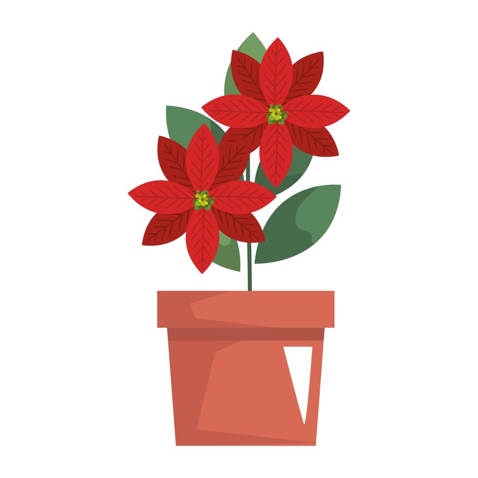 flor de navidad en maceta vector