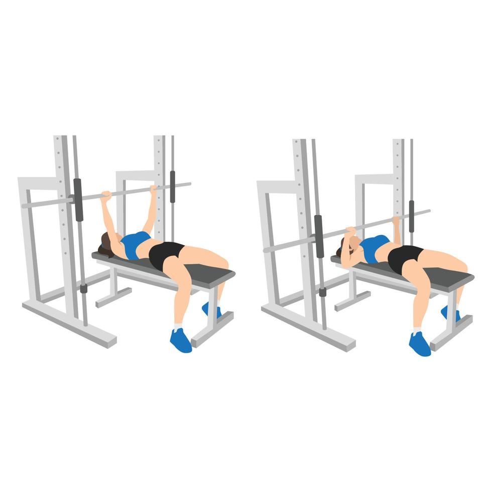 Woman doing Smith machine barbell bench press flat vector