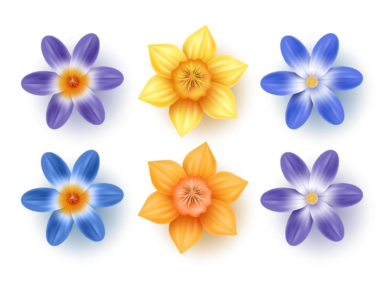 Spring flowers vector set. Daffodils, choinodoxa, and crocus collection with various colors for spring season