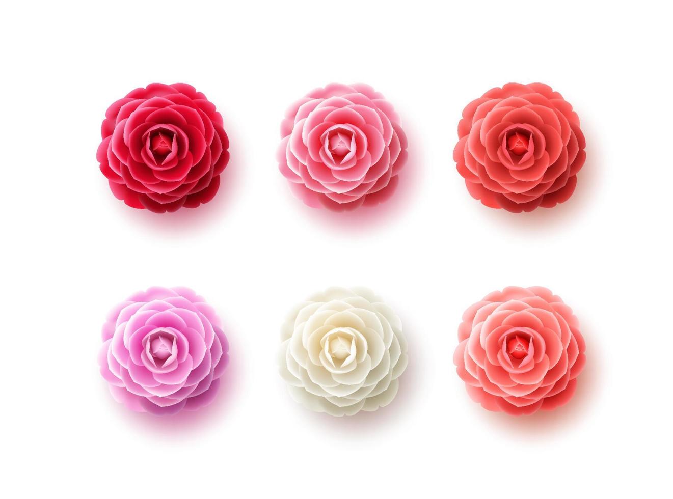 Camellia flowers vector set. Camellia and rose flower collection for spring with various colors