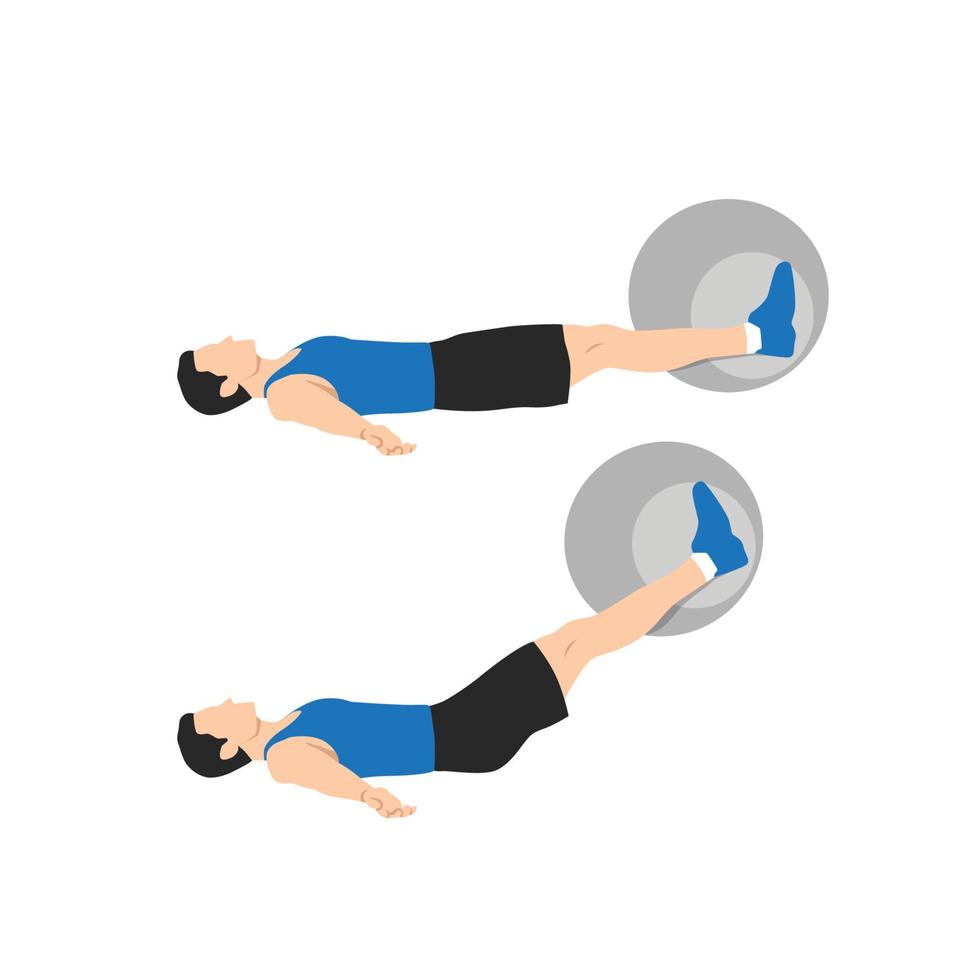 Man doing Swiss ball leg lifts  exercise. body weight lifts flat vector illustration