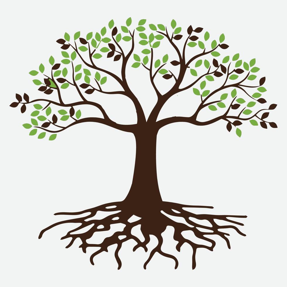 Tree Vector Illustration