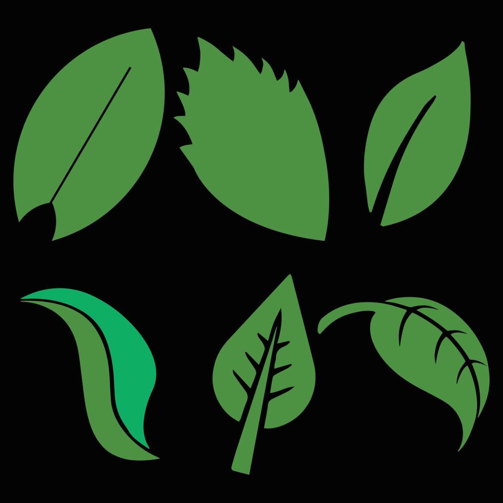 Leaf Vector Collection