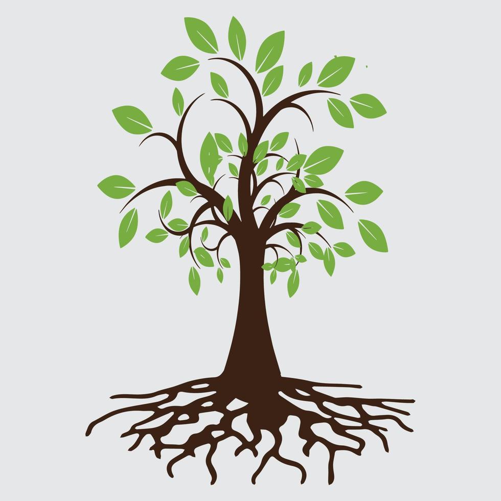 Tree Vector Illustration