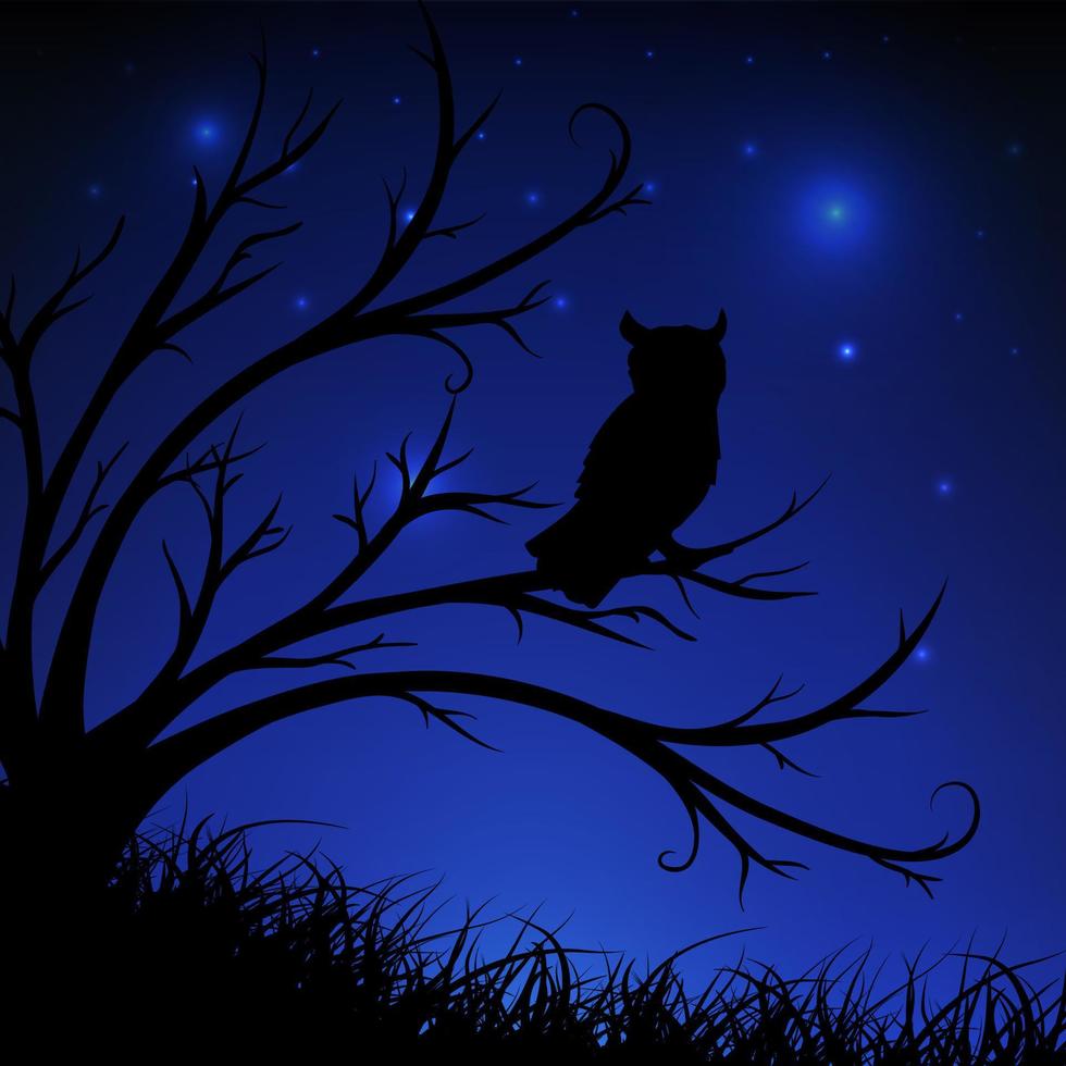 Starry night background with owl looking the pry, tree and grass silhouette. Widescreen starry night background vector