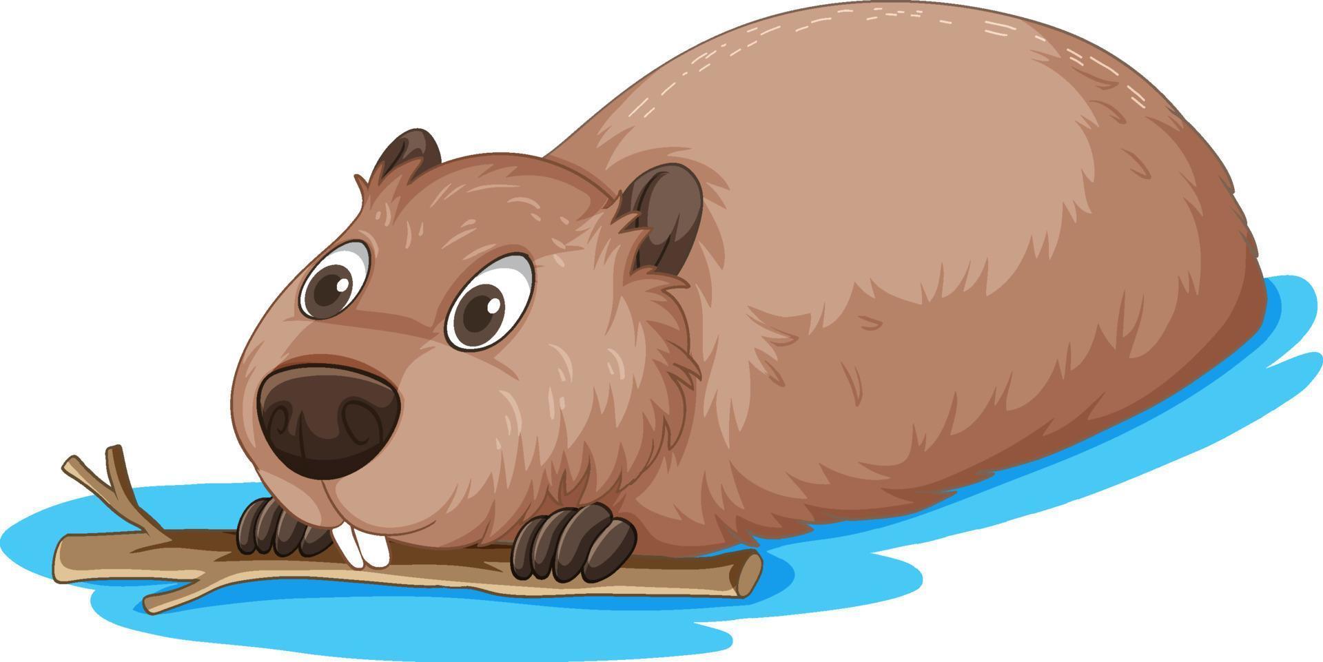 A beaver holding a wood stick in the water vector