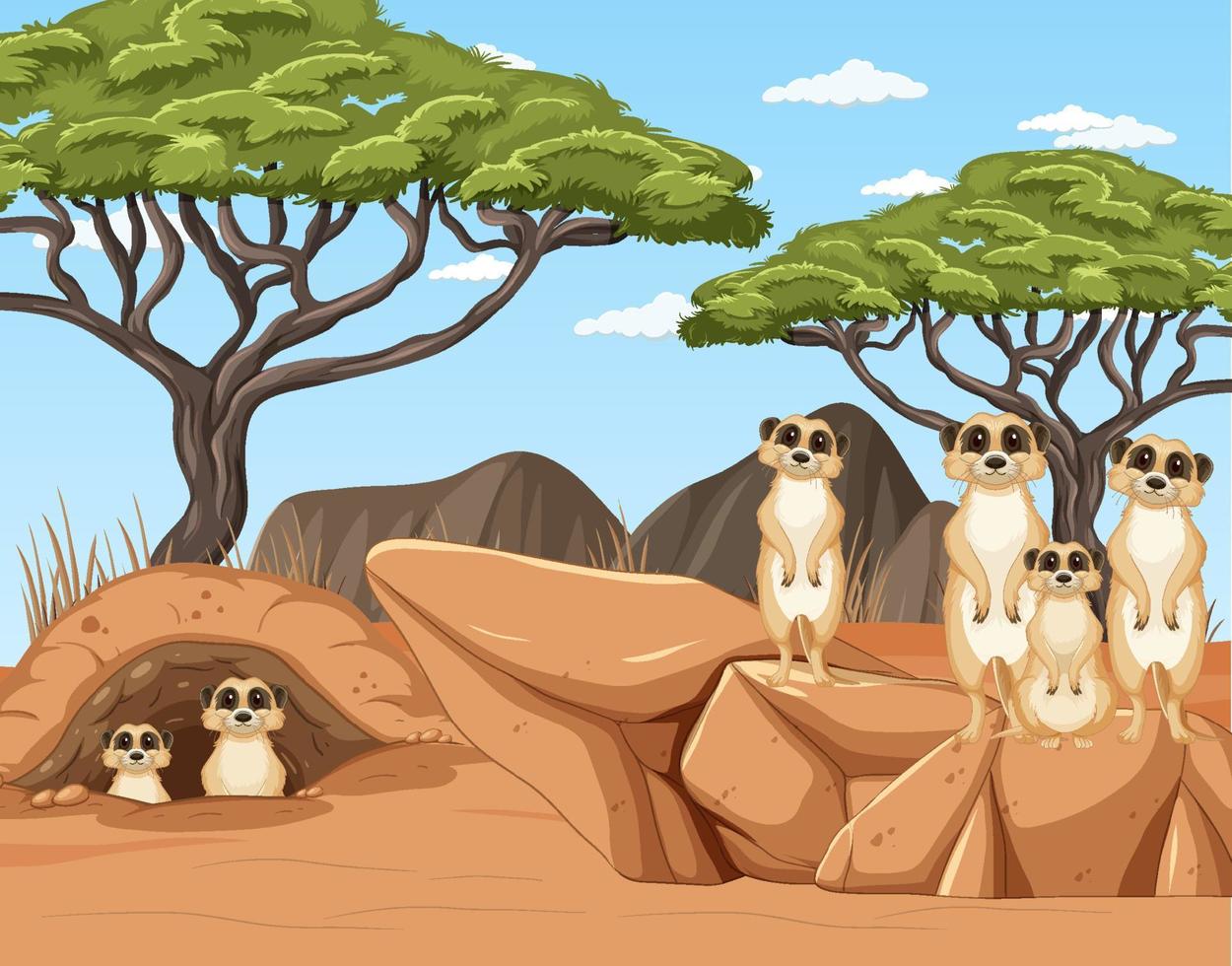 La familia suricata vive en el bosque del desierto. vector