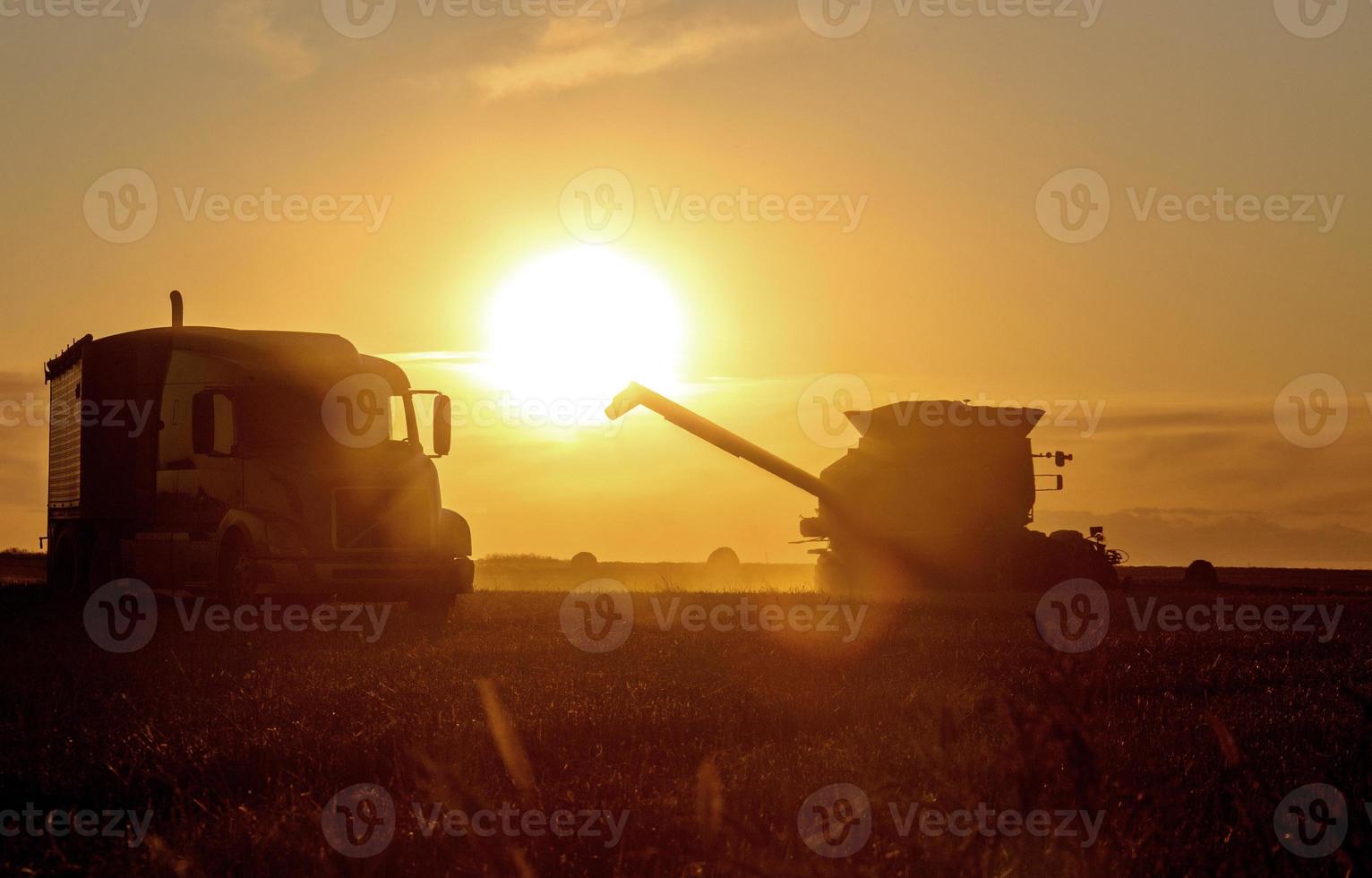 Harvest Sunset Canada photo