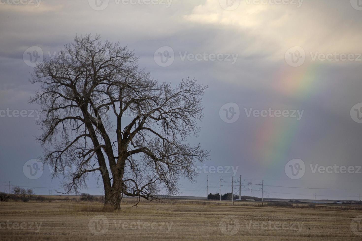 Prairie Storm Clouds photo