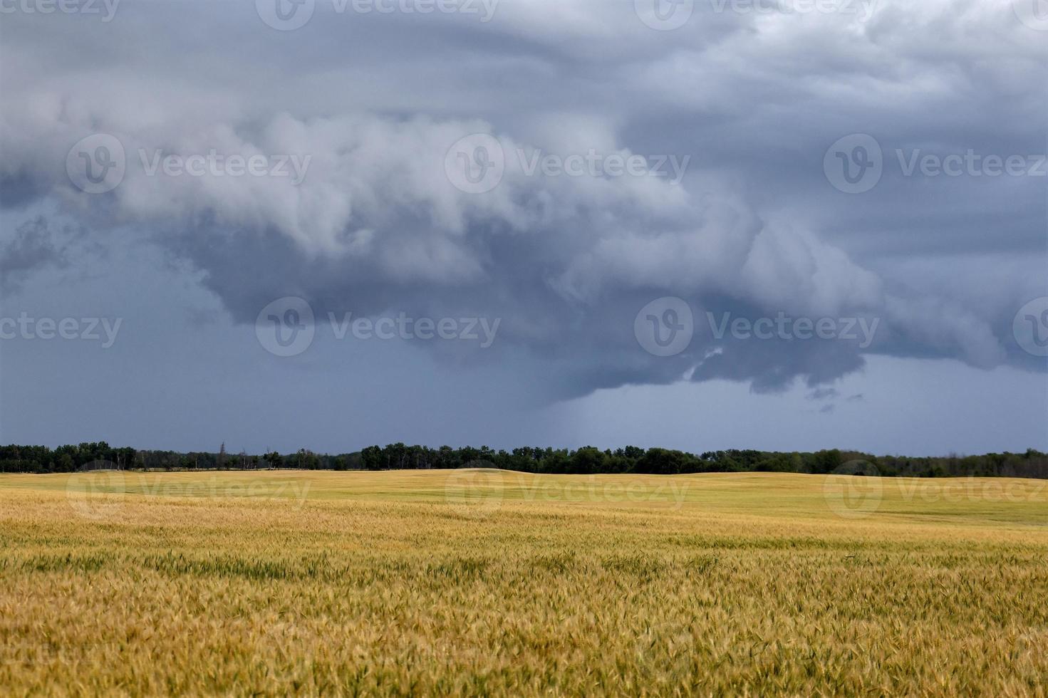 pradera nubes de tormenta canadá foto