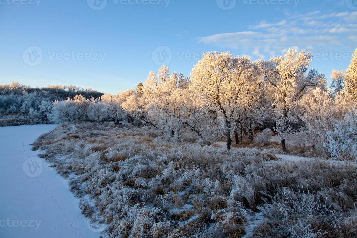 Winter Frost Saskatchewan photo