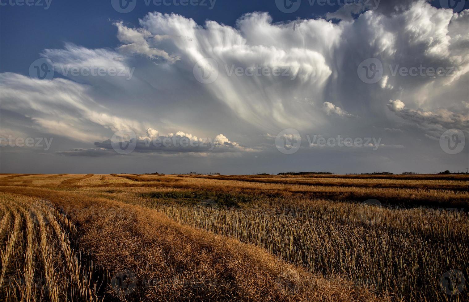 Prairie Storm Clouds photo