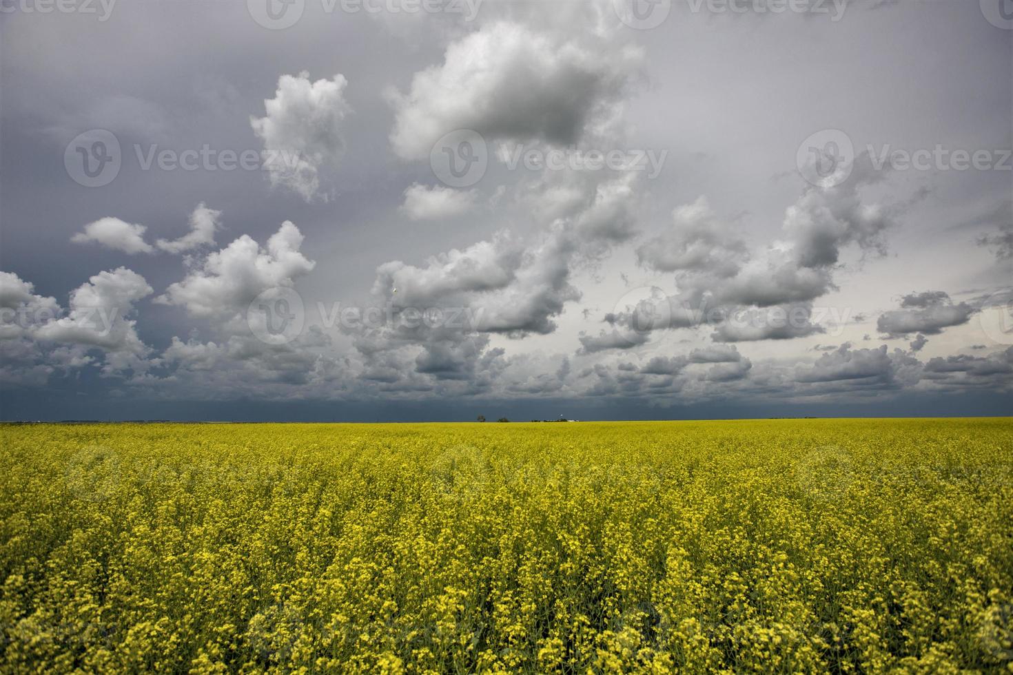 pradera nubes de tormenta canadá foto