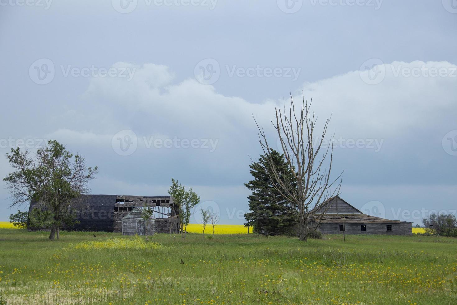 pradera nubes de tormenta canadá foto