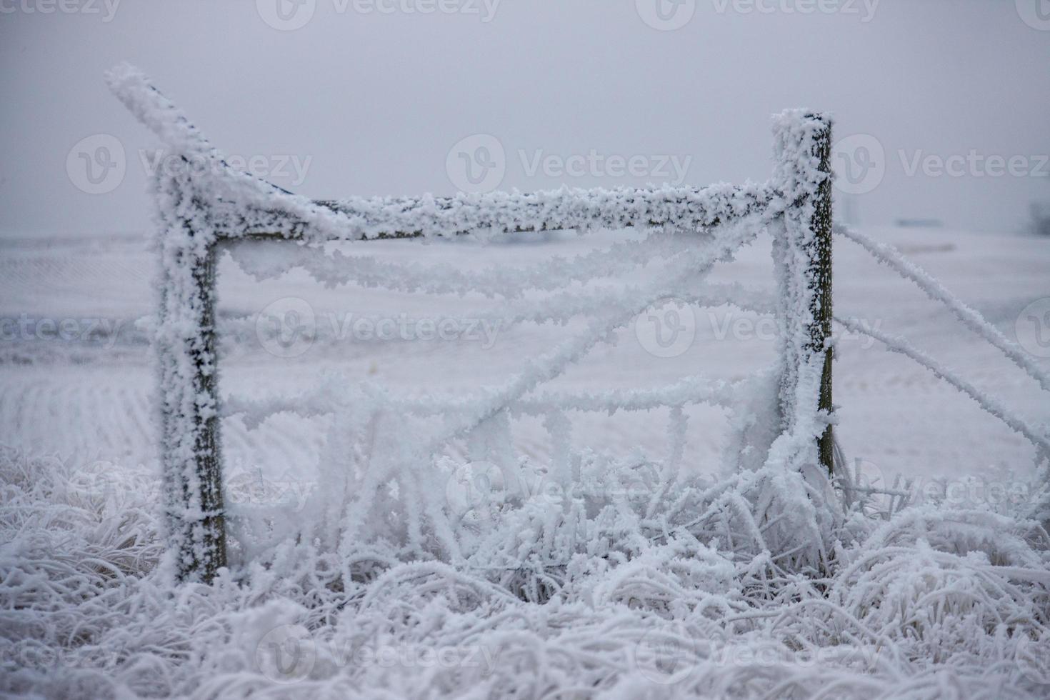 Winter Frost Saskatchewan photo