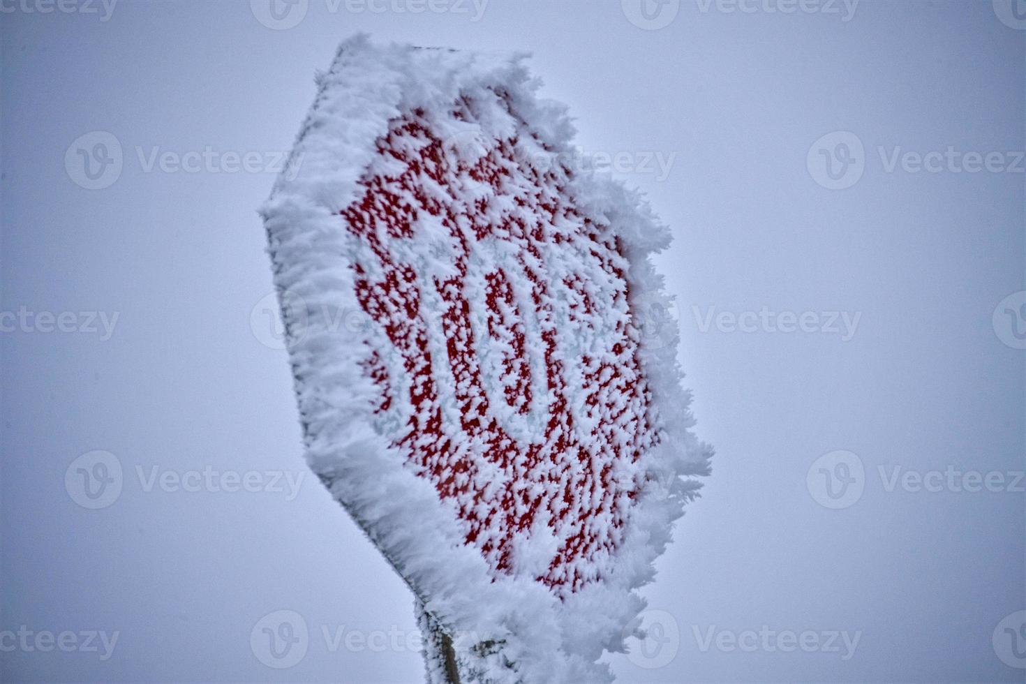 Winter Frost Saskatchewan photo