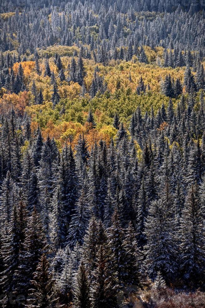 Cypress Hills First Snowfall photo