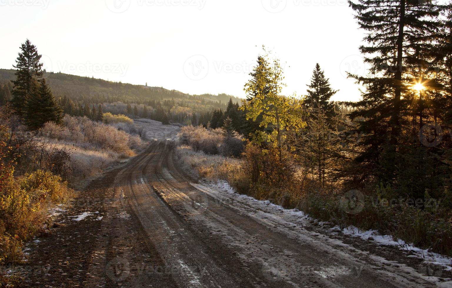 primera nevada de cypress hills foto