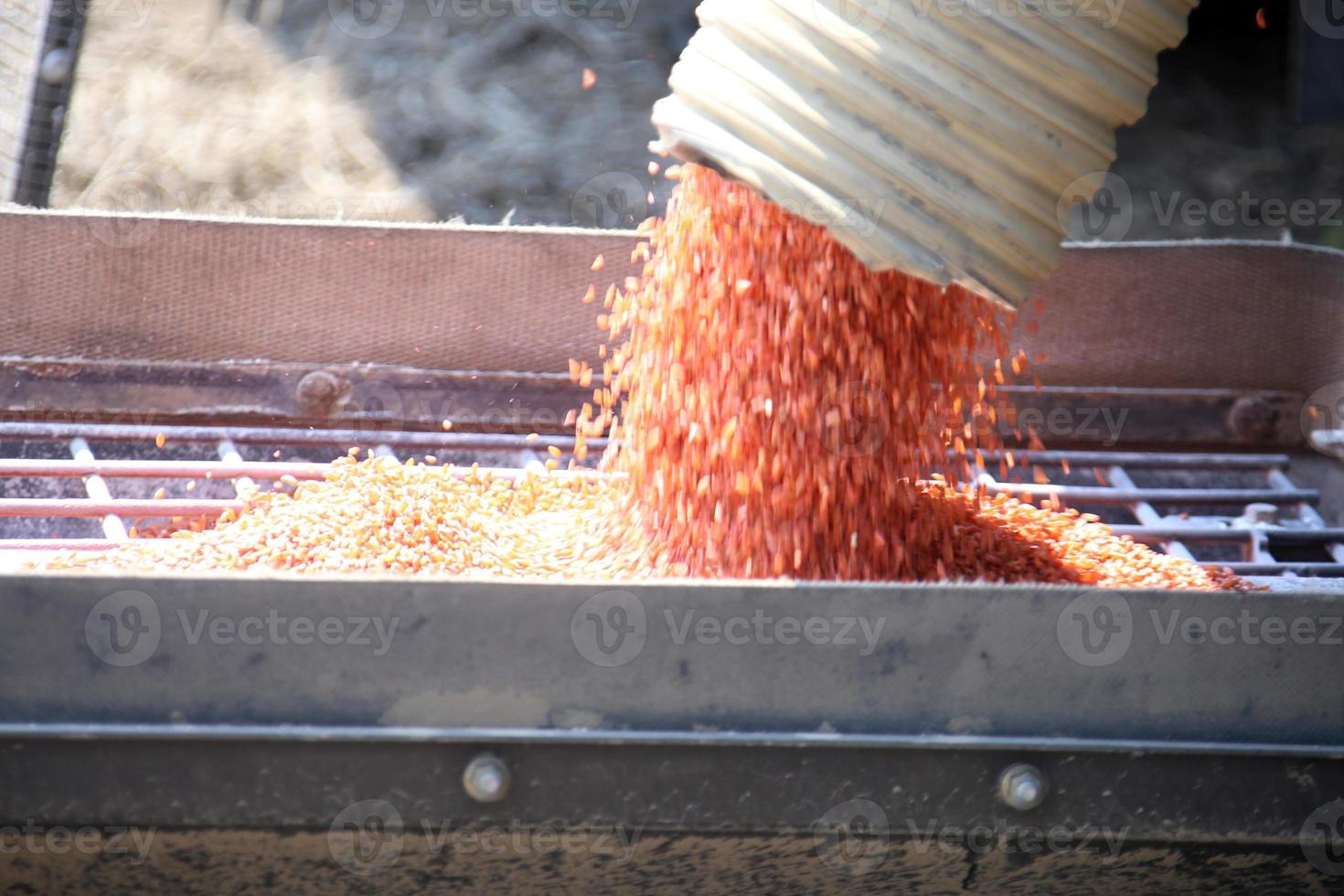 Seeding in Saskatchewan photo