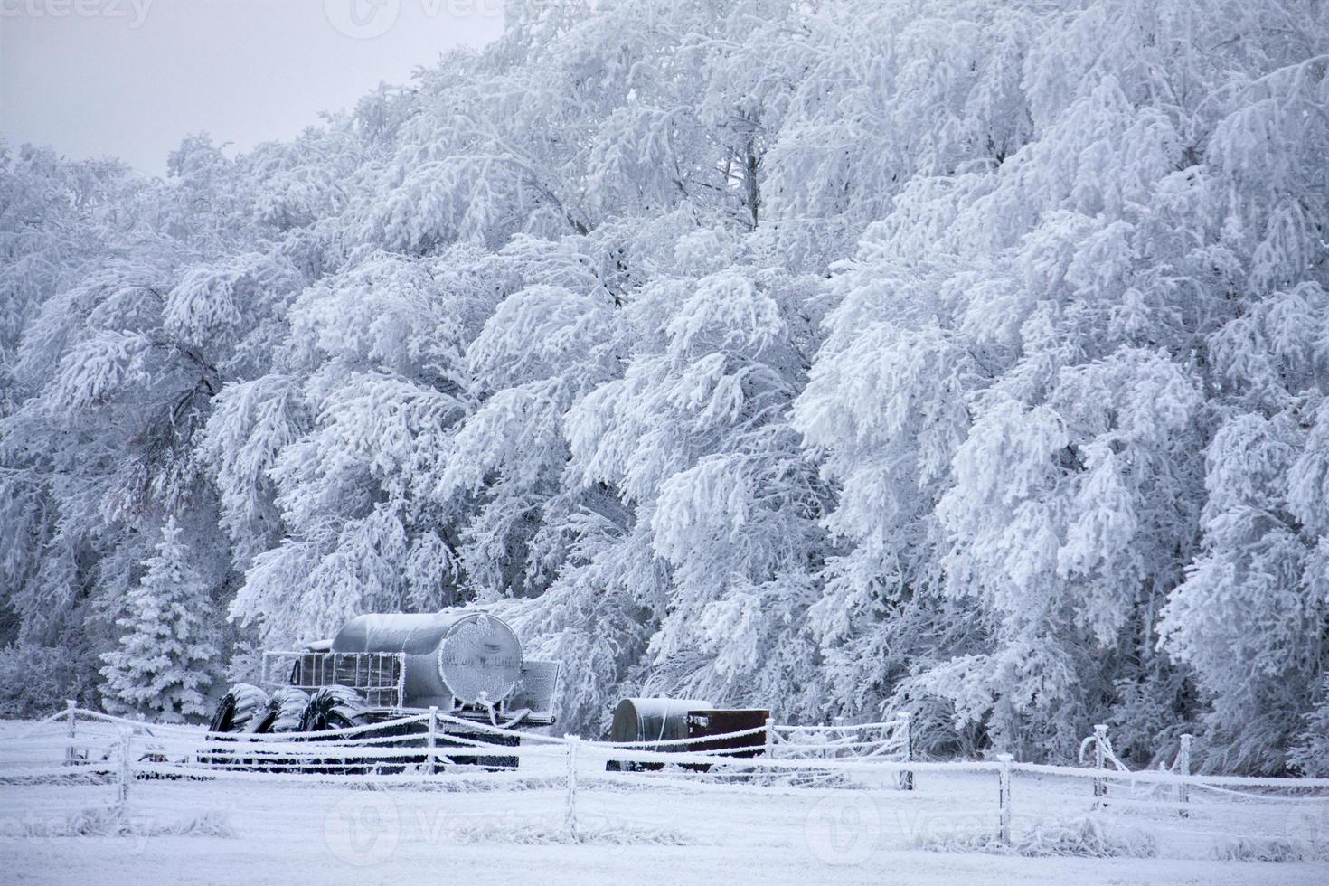 heladas de invierno saskatchewan foto