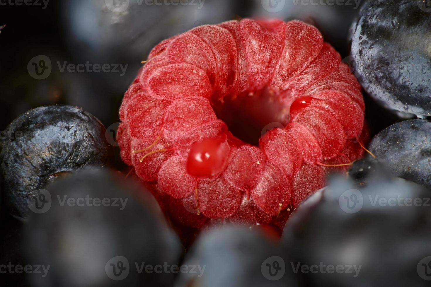 macro cerrar fruta foto