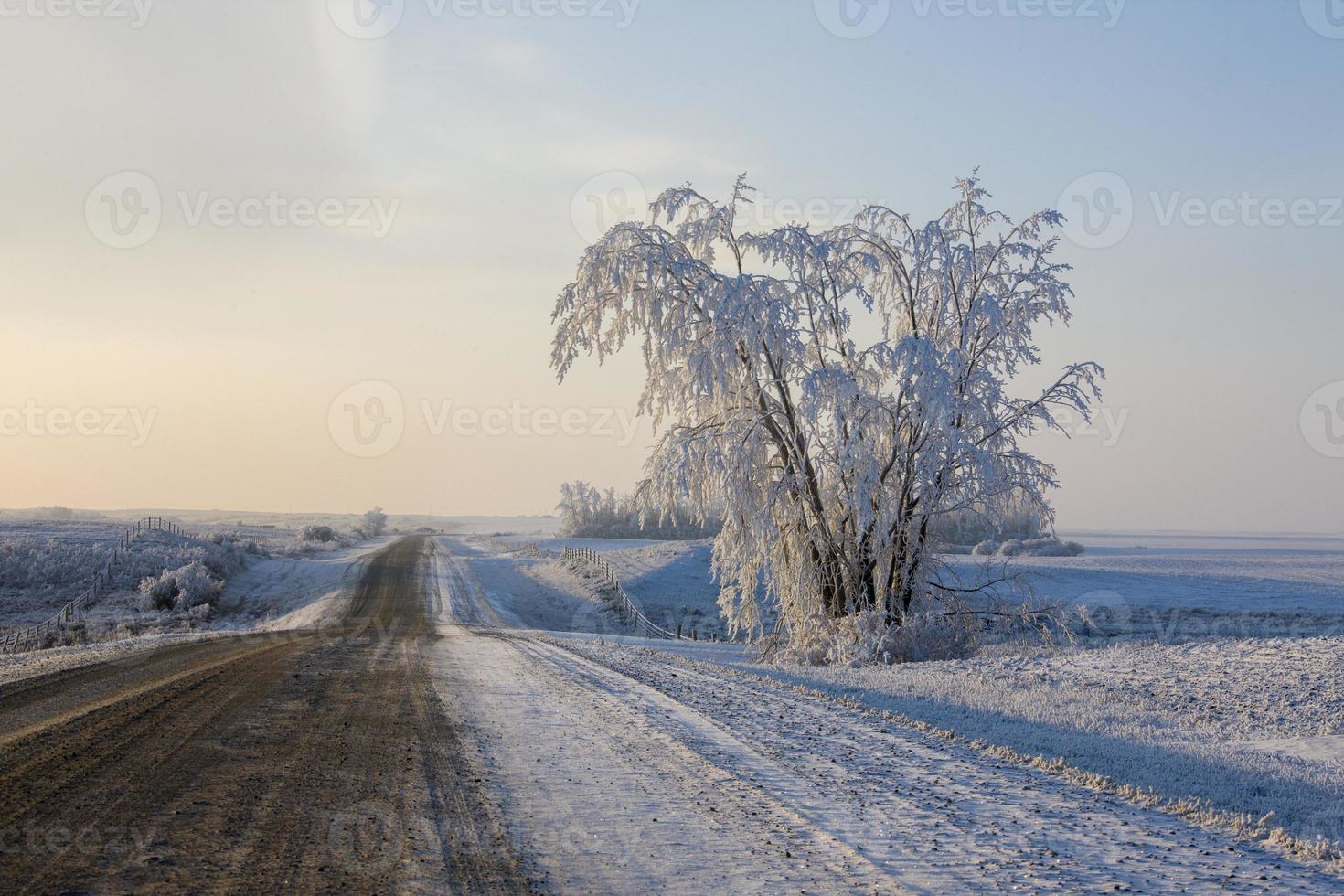 heladas de invierno saskatchewan foto