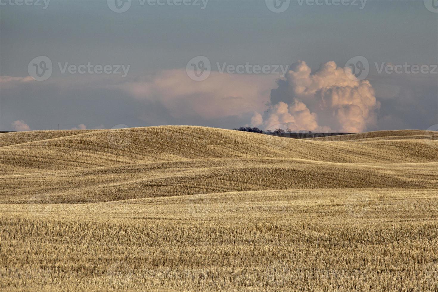 pradera nubes de tormenta foto