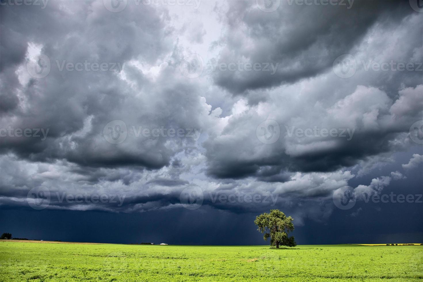 Prairie Storm Canada photo