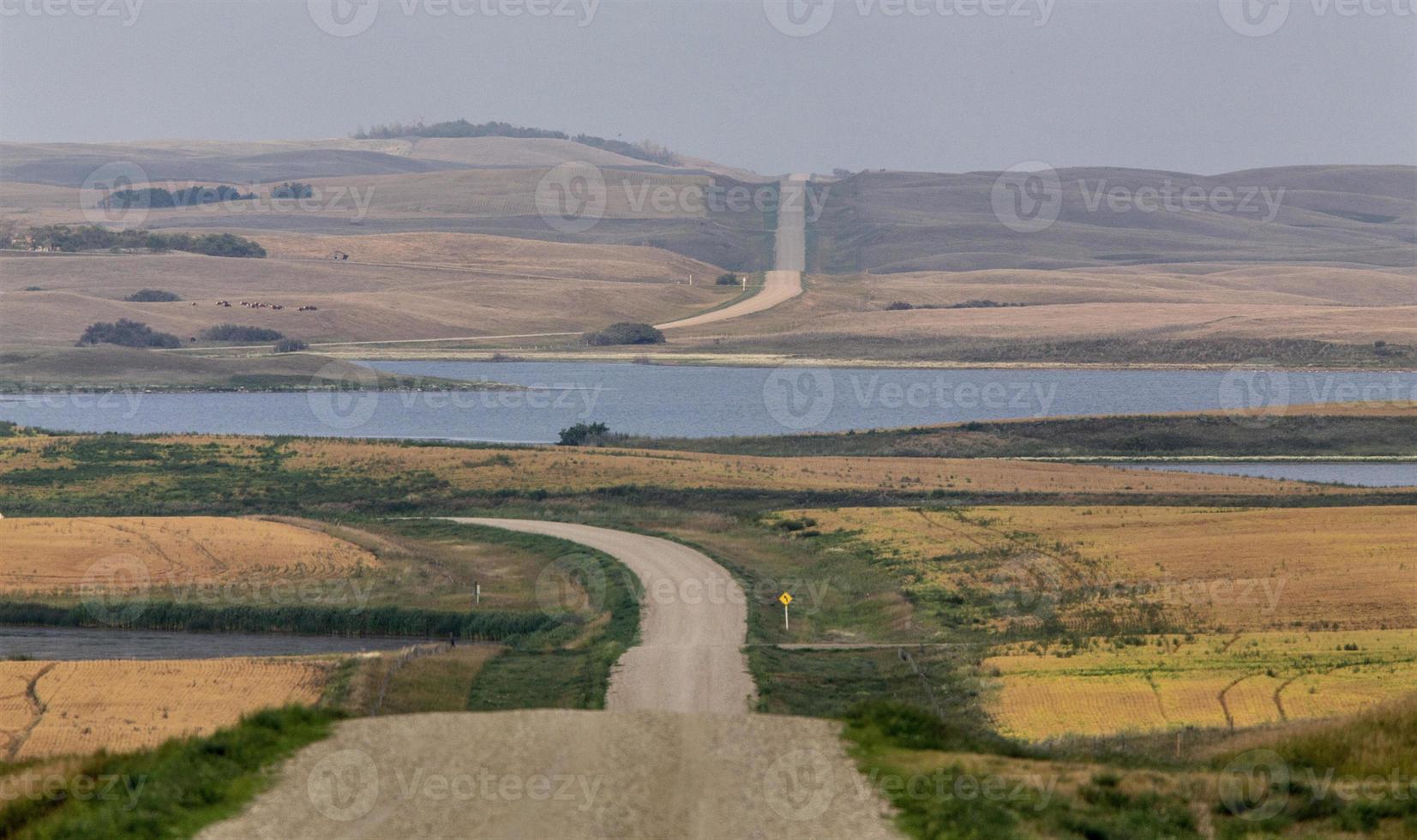Summer Prairie Scene photo