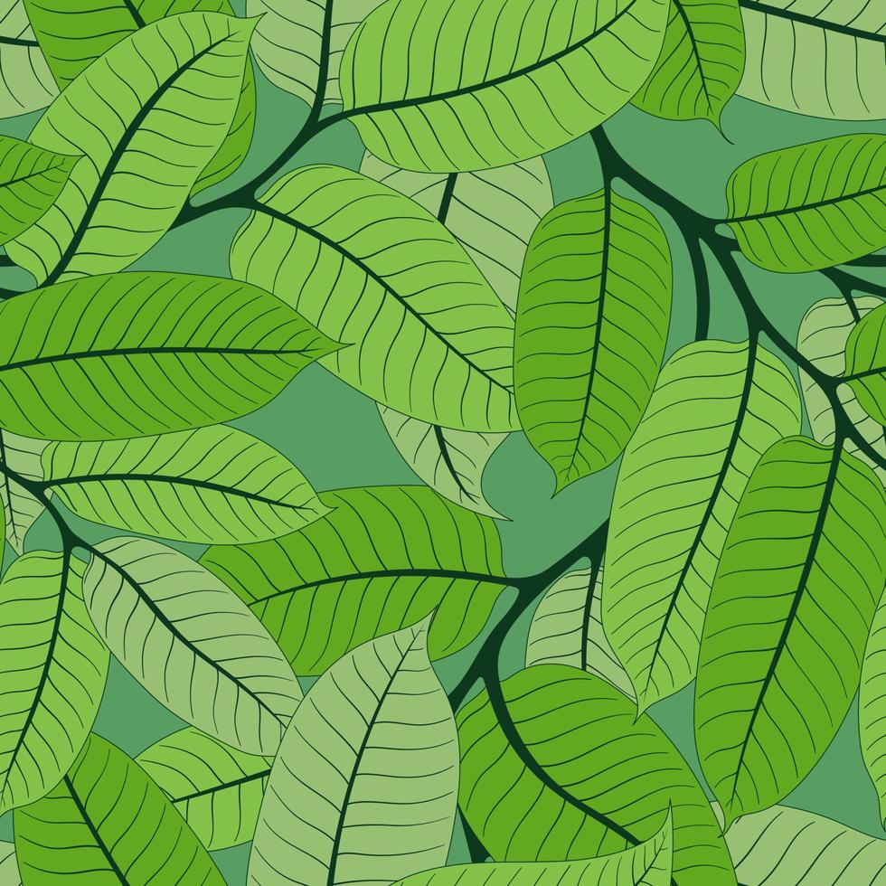 MINT SEAMLESS BACKGROUND WITH LIGHT GREEN NUTMEG BRANCHES vector