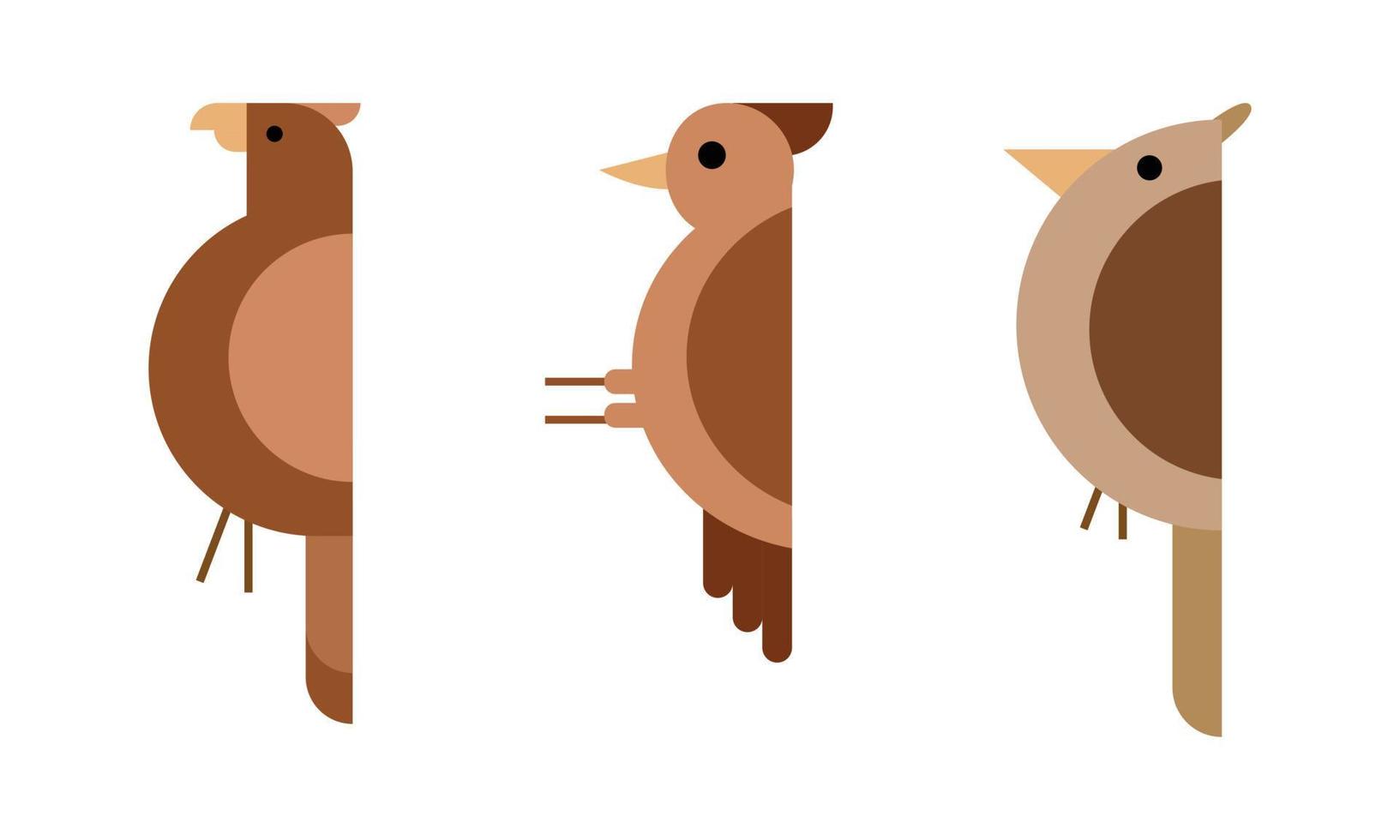 Flat design illustrations of birds in brown colors. vector