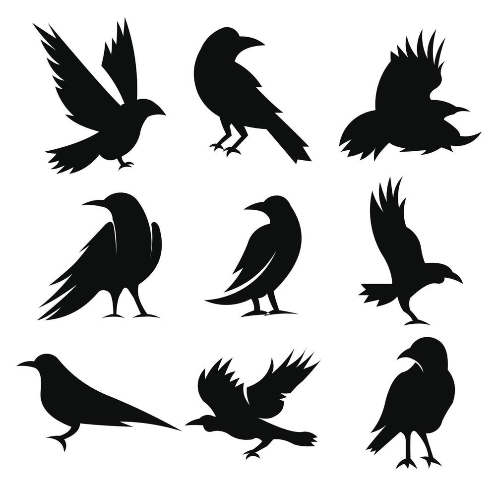 diseño de vector de plantilla de logotipo de pájaro