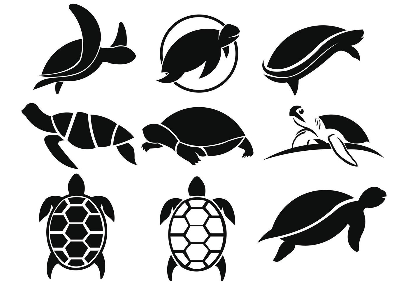 vector de icono de tortuga, signo plano relleno, pictograma sólido aislado en blanco. símbolo, ilustración de logotipo