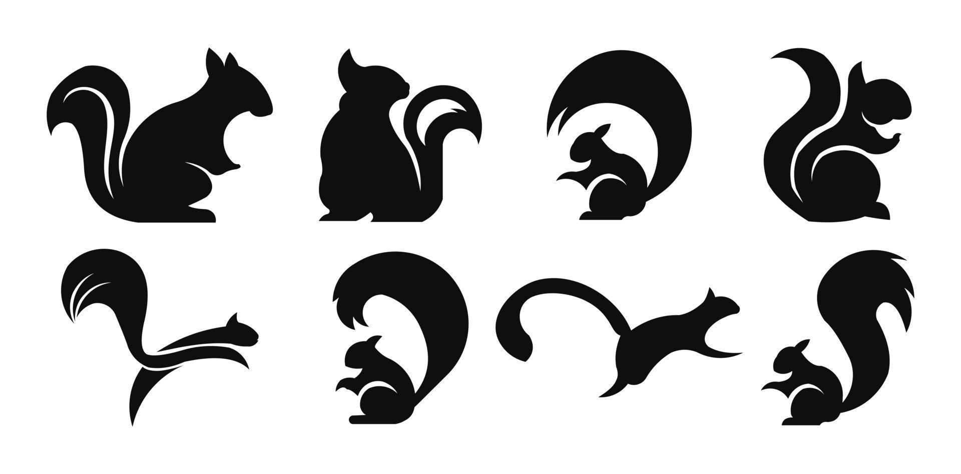 Squirrel icon. Squirrel logo template. Vector