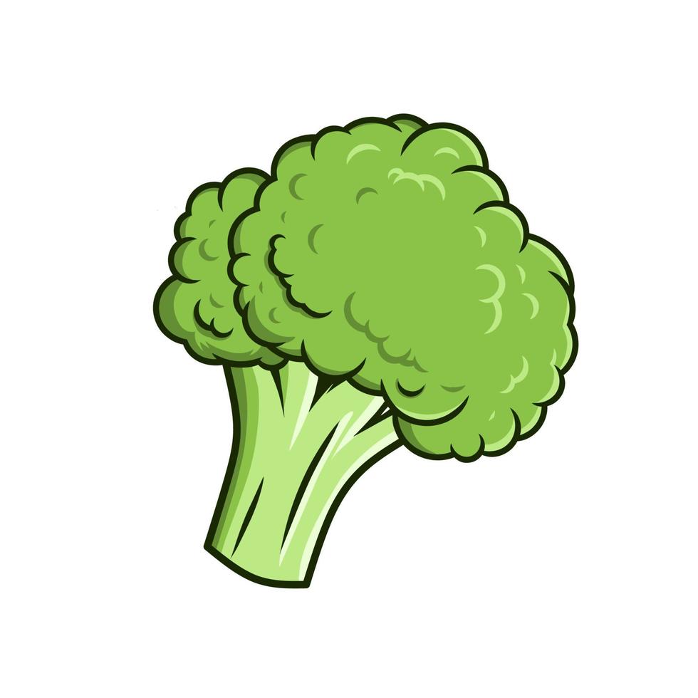 broccoli vector isolated on white background