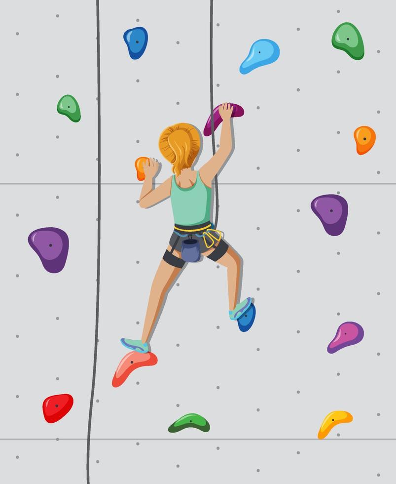 People doing indoor rock climbing at the gym vector