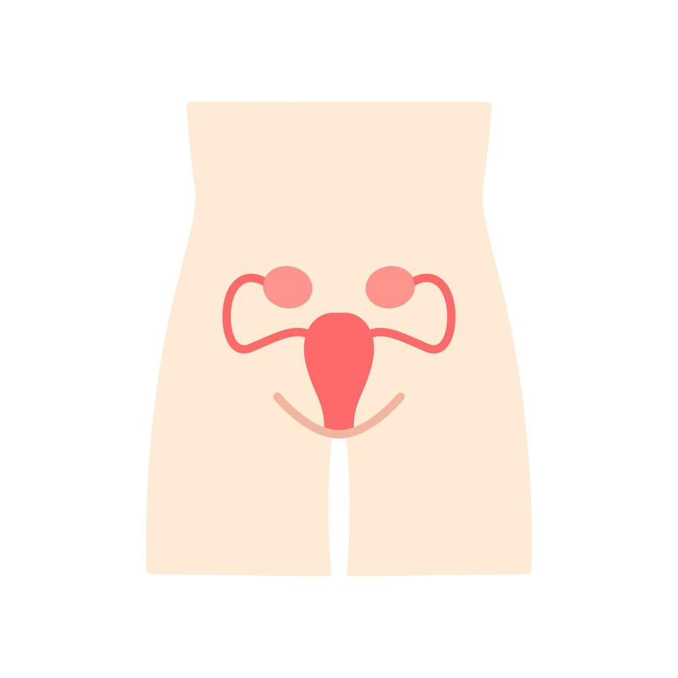 sistema reproductivo de mujeres sanas diseño plano icono de color de sombra larga. órgano humano en buen estado de salud. Fertilidad. parte interna del cuerpo en buen estado. salud de la mujer sana. ilustración de silueta vectorial vector