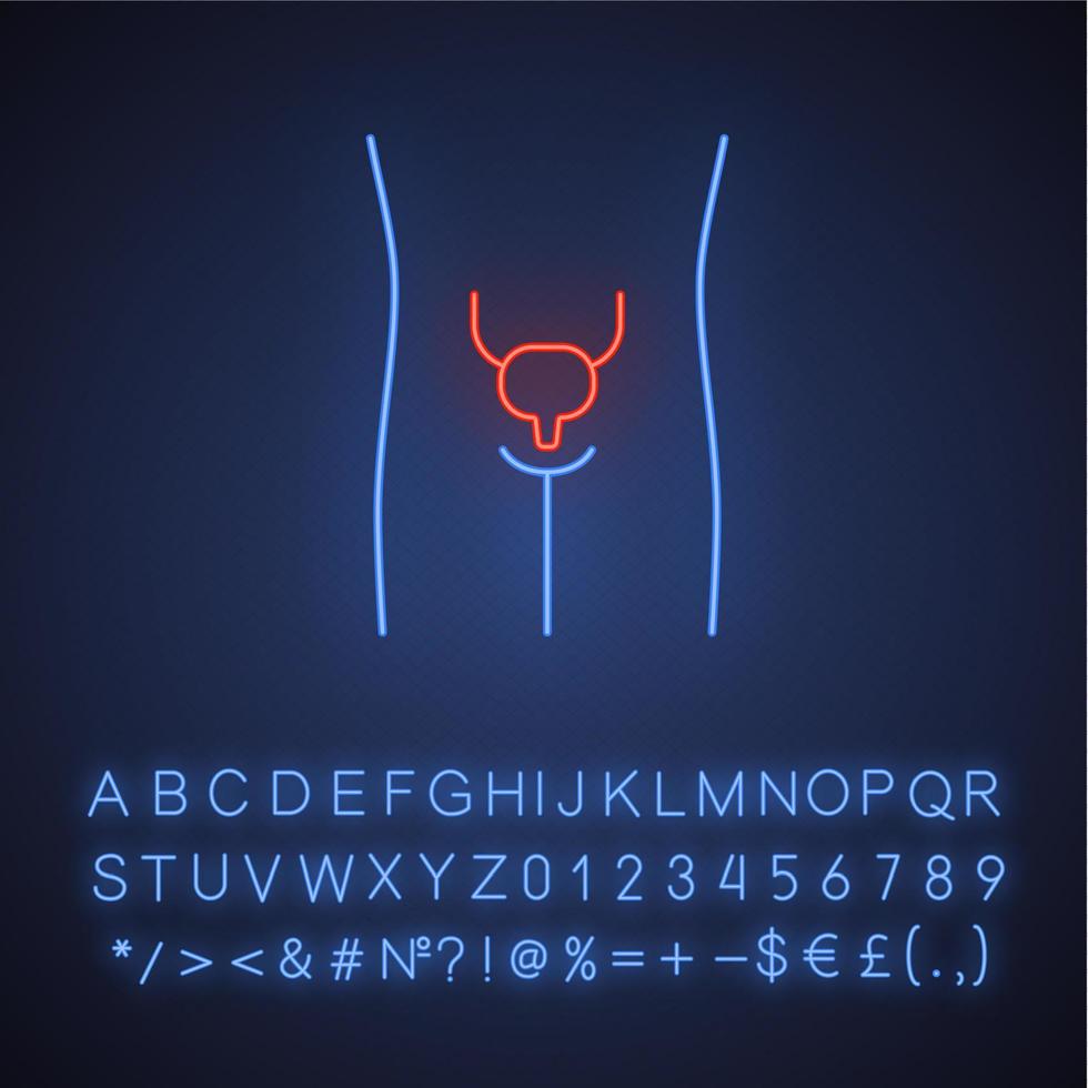 Healthy urinary bladder neon light icon. Human organ in good health. Functioning urinary system. Wholesome urinary tract. Glowing sign with alphabet, numbers and symbols. Vector isolated illustration