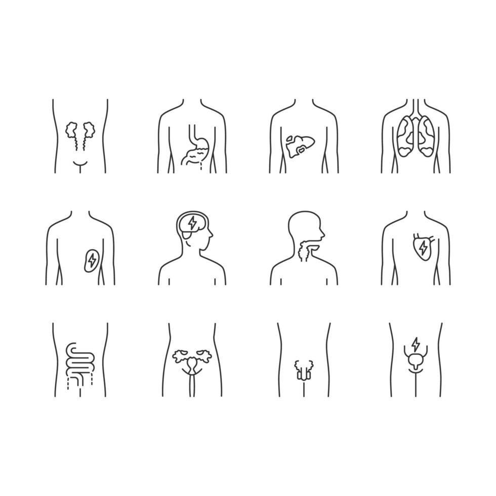 Ill human organs linear icons set. Sore heart and lungs. Aching throat and urinary bladder. Unhealthy liver. Thin line contour symbols. Isolated vector outline illustrations. Editable stroke