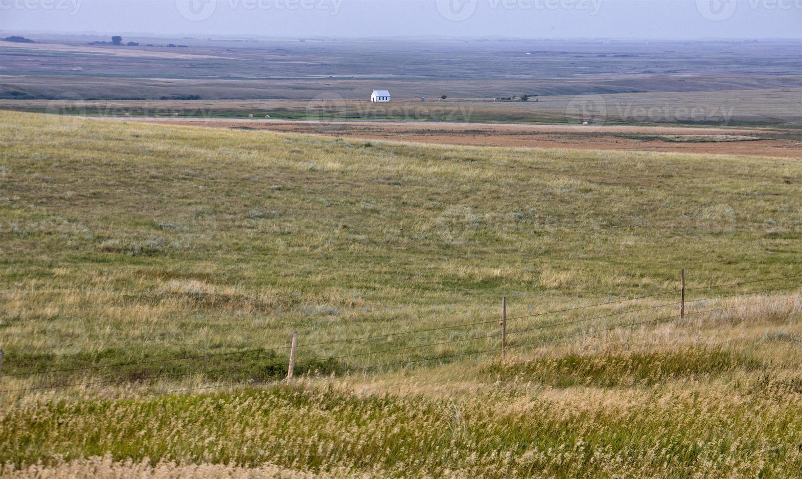 Summer Prairie Scene photo