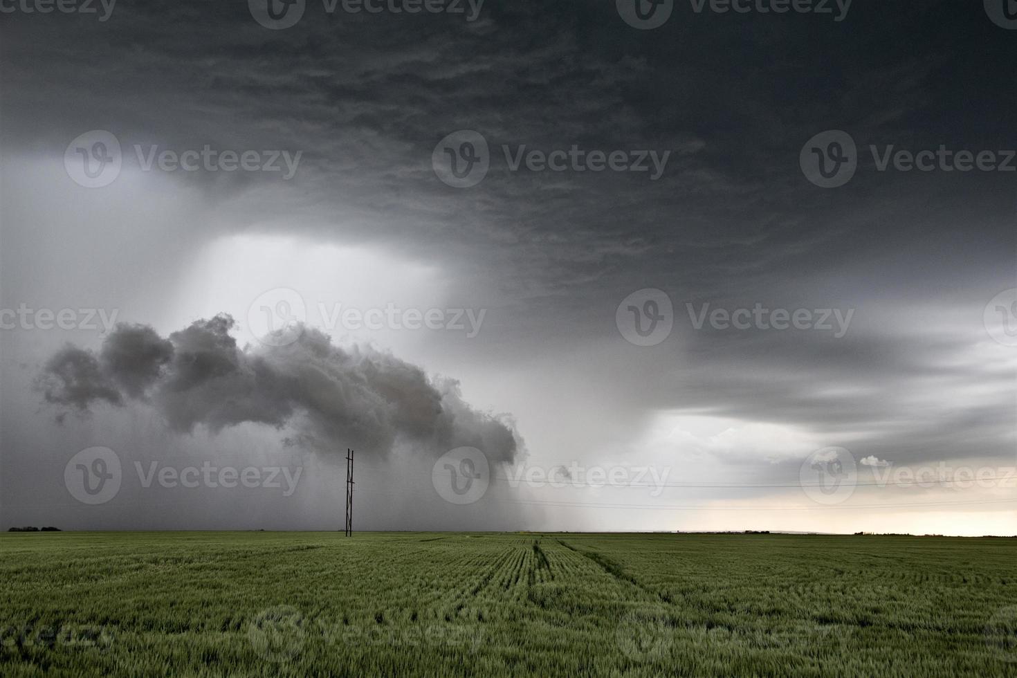 pradera nubes de tormenta foto