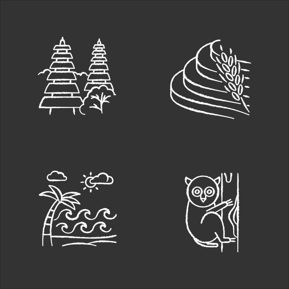 Indonesia chalk icons set. Tropical animal. Vacation in Indonesian islands. Explore exotic wildlife. Unique flora, fauna. Bali sightseeing, architecture. Isolated vector chalkboard illustrations