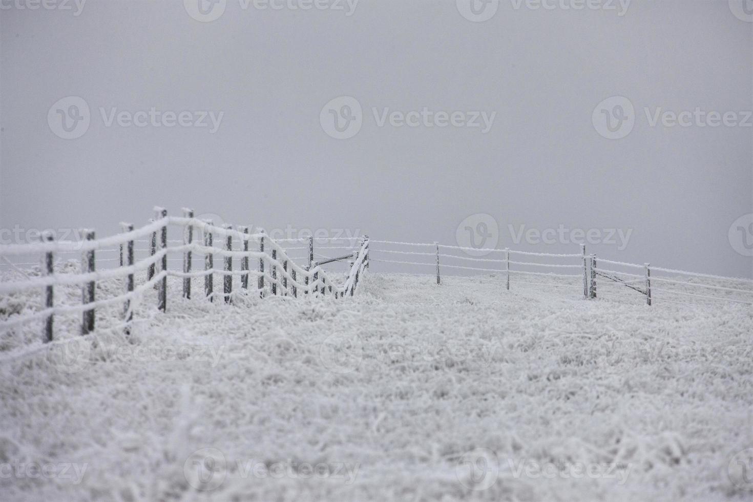 Winter Frost Saskatchewan photo