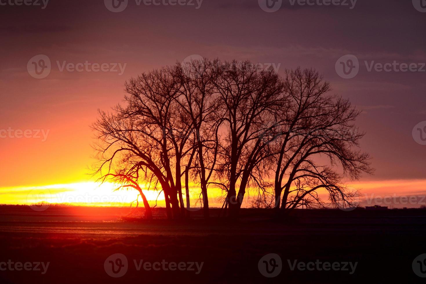 Prairie Sunset Canada photo