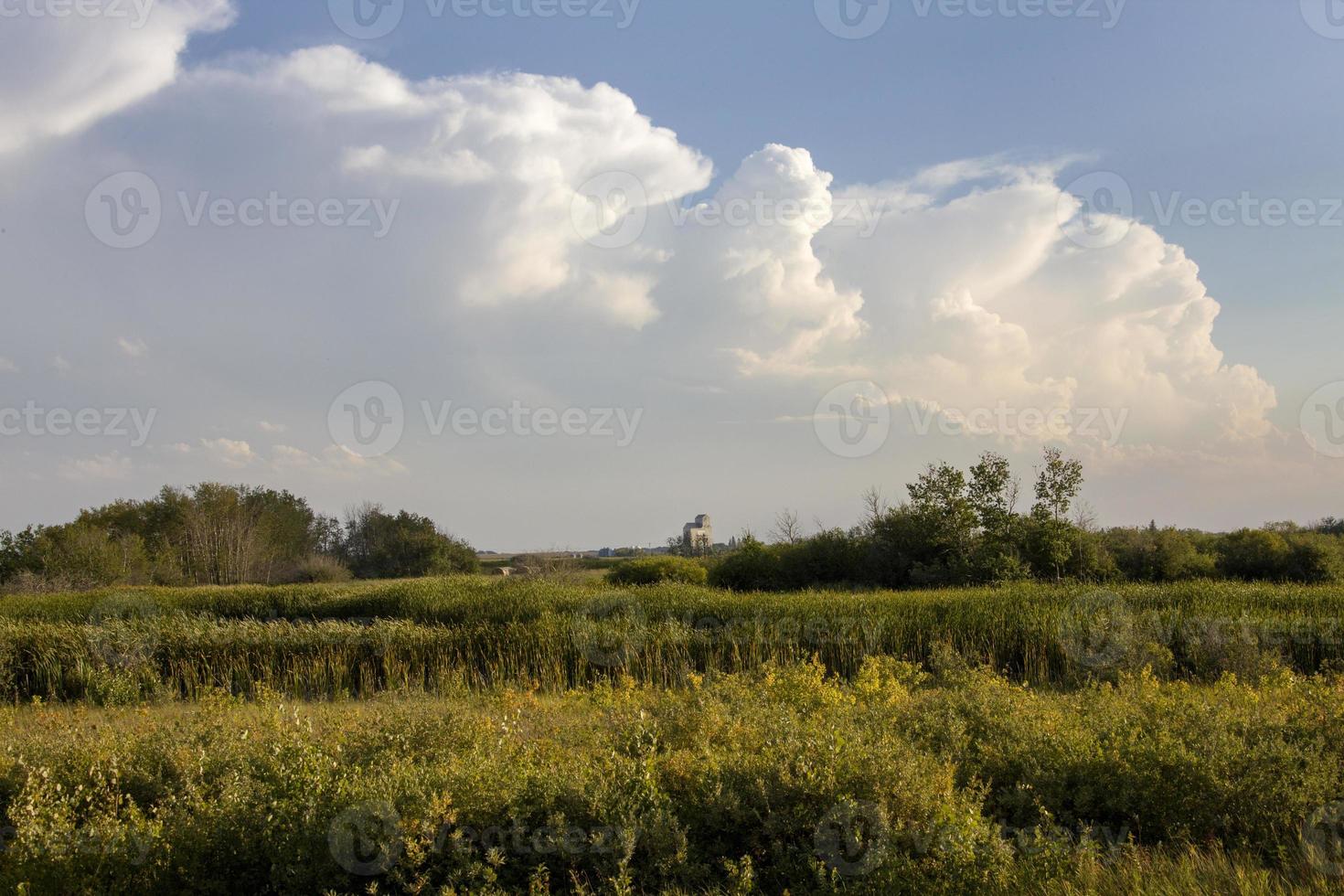 pradera nubes de tormenta foto