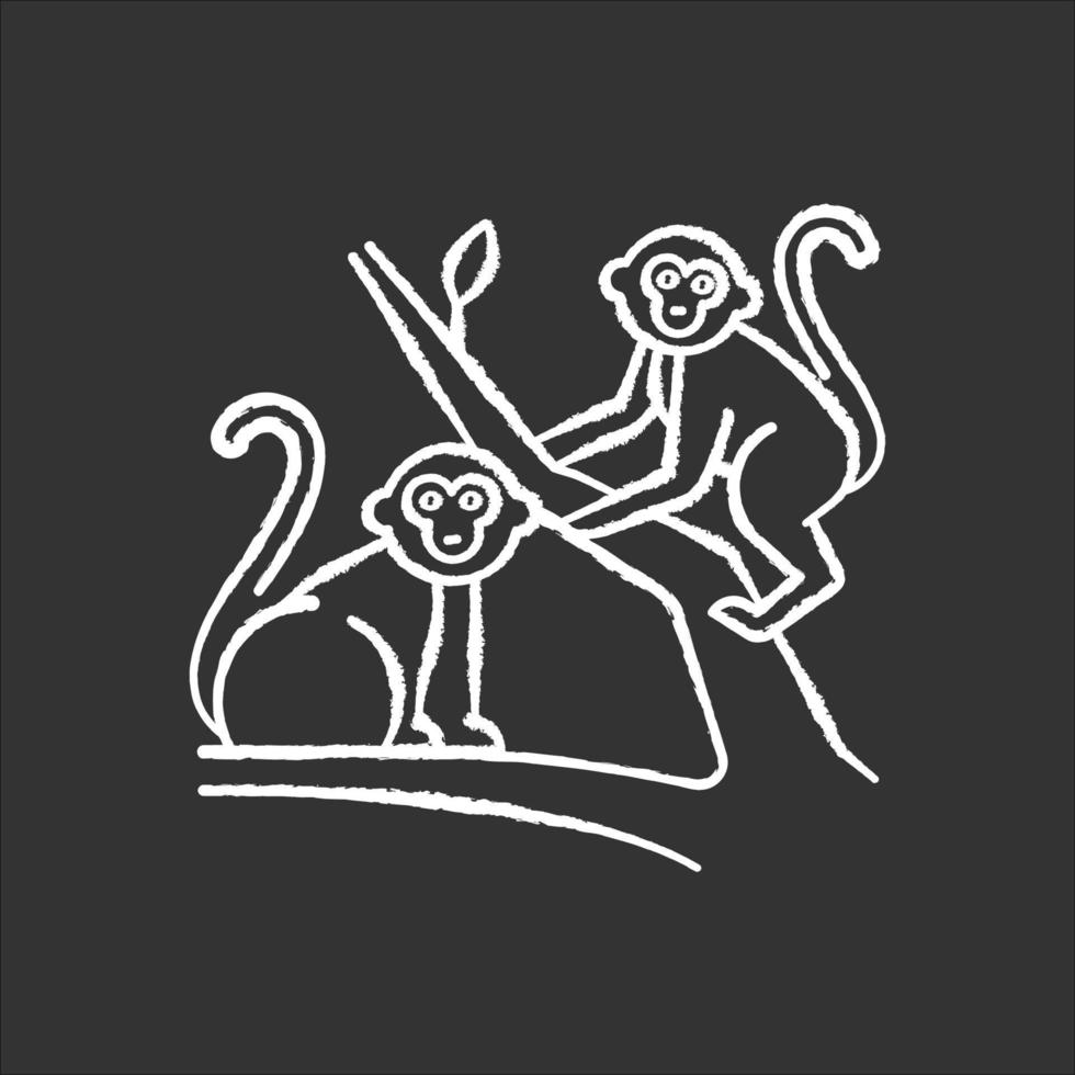 monos en el icono de tiza de la selva. animales de campo tropical, mamíferos. explorando la exótica vida salvaje de indonesia. primates sentados. visitando la fauna del bosque balinés. ilustración de pizarra de vector aislado