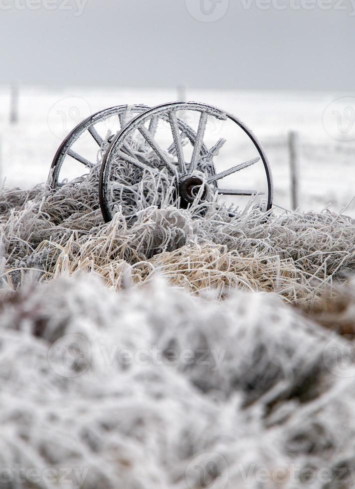 heladas de invierno saskatchewan foto