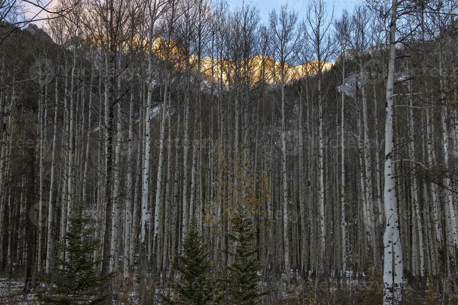 Rocky Mountains Winter Fall photo